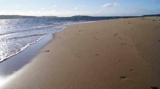 Port Hood The Fiddle And The Sea Bed And Breakfast מראה חיצוני תמונה